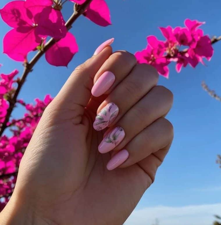 Vibrant pink bougainvillea flowers in full bloom against a clear blue sky