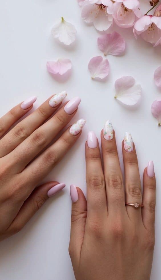 Soft pastel cherry blossom petals scattered on a white background